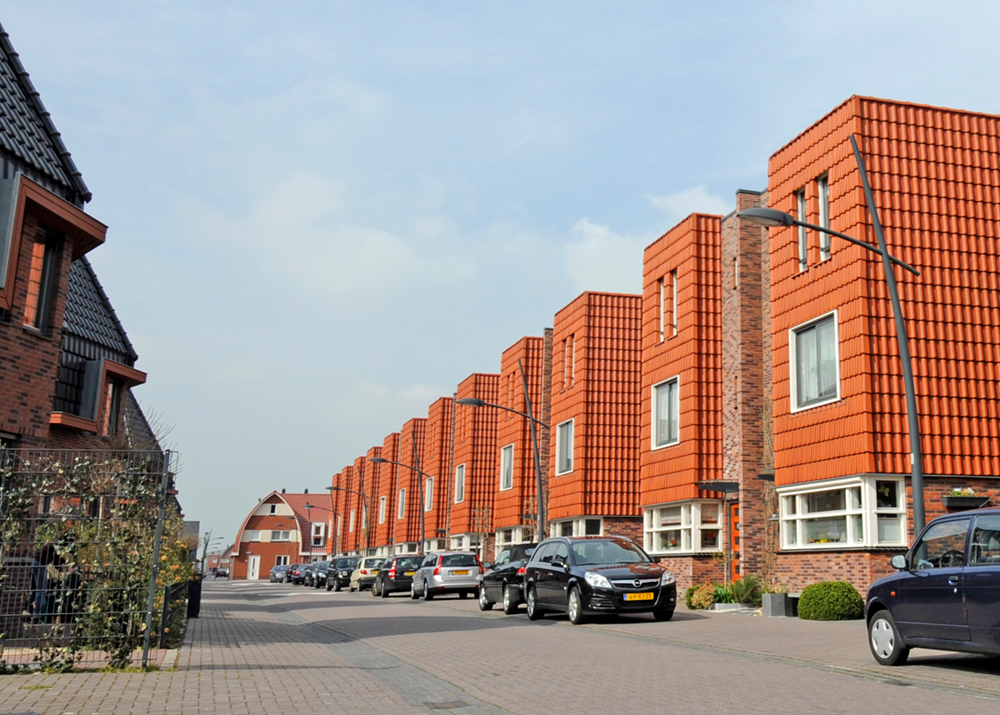 Nieuwbouwwijk 2 (1000x715)