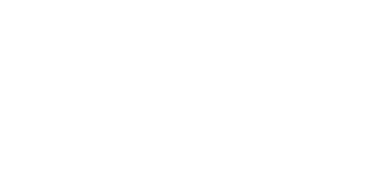 Begroting     2021 