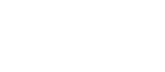 Professionele dienst  Werkzaamheden waarvoor vakbekwaamheid als accountant wordt of kan worden aangewend  art 1 VGBA 