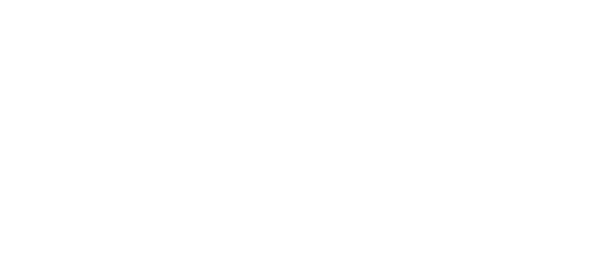 Professionele dienst  Werkzaamheden waarvoor vakbekwaamheid als accountant wordt of kan worden aangewend  art 1 VGBA 