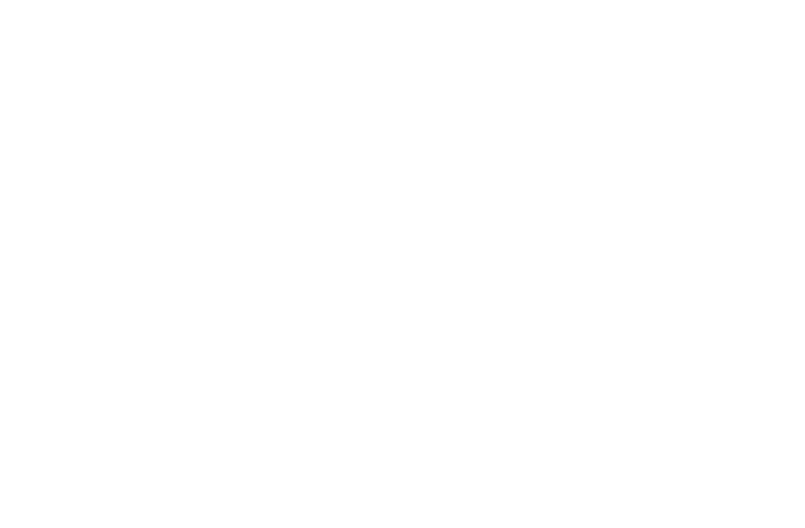 Deze stappenplannen zijn bedoeld om de praktische toepassing van de NV NOCLAR te verduidelijken en hebben niet de sta   