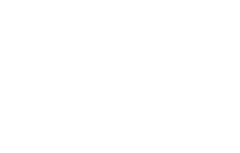 Dit project focust op de rol van de accountant bij het ontdekken van fraude in het kader van jaarrekeningcontrole  Da   