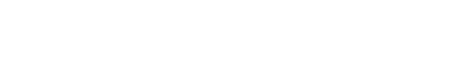 Dit Jaarplan vormt de eerste aanzet om ervoor te zorgen dat het accountantsberoep ook in de toekomst relevant blijft    