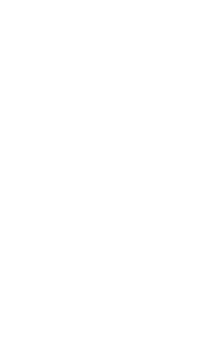 Probleem   Gebrekkige  controlekwaliteit   Onvoldoende  maatschappelijke  relevantie