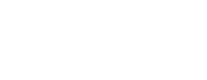   Het beschikbaar stellen van een digitale PE-portfolio  waarin leden hun  Persoonlijk Opleidingsplan  POP  kunnen bi   