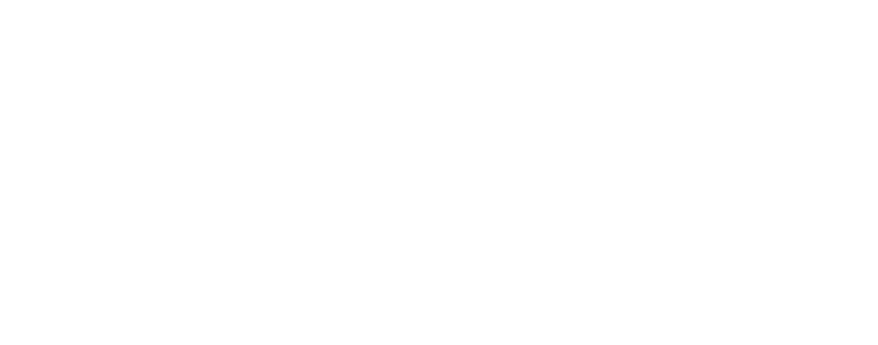 Vanuit het thema Vernieuwende kracht zijn een aantal projecten benoemd die moeten zorgen dat het accountantsberoep go   