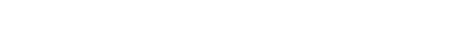 4 Beroepsorganisatie 3 0:  leiderschap, daadkracht en vernieuwing