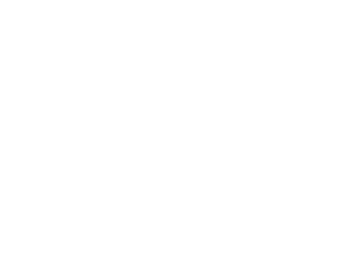 Vanaf boekjaar 2020 worden ook grotere bedrijven, de zogenoemde uitgevende instellingen (waaronder beursfondsen) verp   