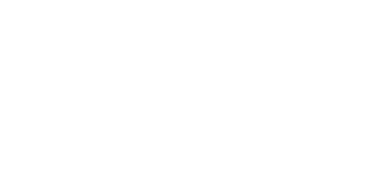 Het bevorderen van diversiteit en inclusie is een belangrijk speerpunt uit de NBA-Vernieuwingsagenda  Bij de invullin   