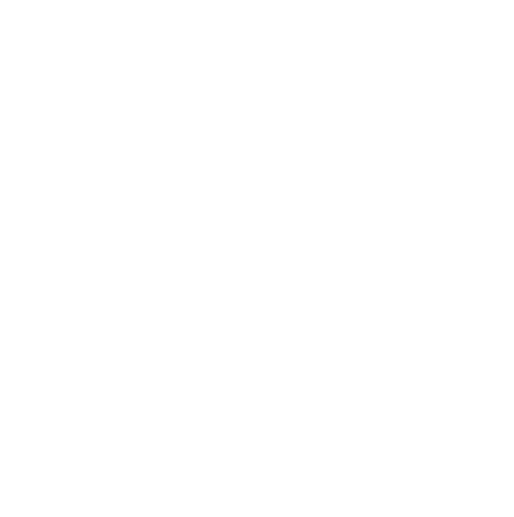 Regelgeving die bijdraagt aan relevante en betrouwbare informatie Regelgeving die leidt tot een goede beroepsuitoefen   