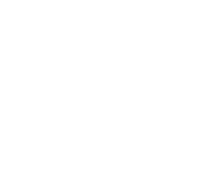 Maatschappelijke relevantie Kwaliteit Vernieuwende kracht Lerend beroep Sterk merk NBA 3 0 Datagedreven organisatie