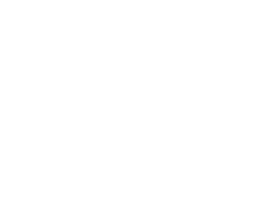 Op basis van het jaarplan 2021 en de ontwikkeling van kosten en opbrengsten hebben we de begroting 2021 opgesteld  De   