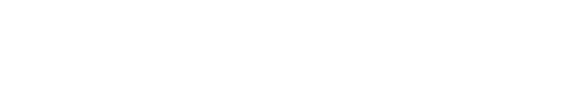 volgende stappen naar een vernieuwde beroepsorganisatie