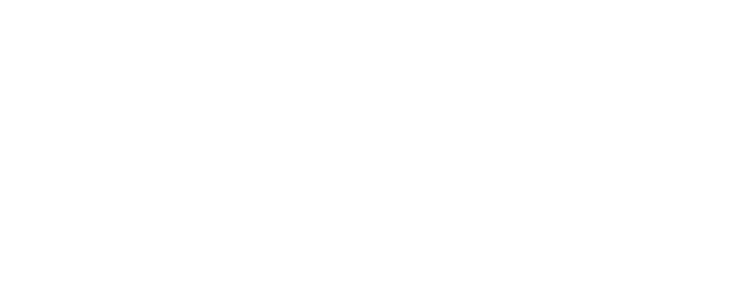 Indien er sprake is van (een vermoeden van) fraude bij een wettelijke controle bij een OOB-controlecli nt is Artikel    